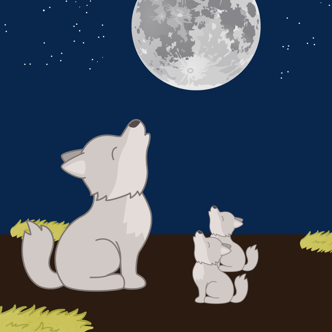 Illustration of wolves howling under full moon.